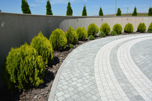 Reasons to Select Us for Your Driveway Paving Requirements in Greenfield, IA